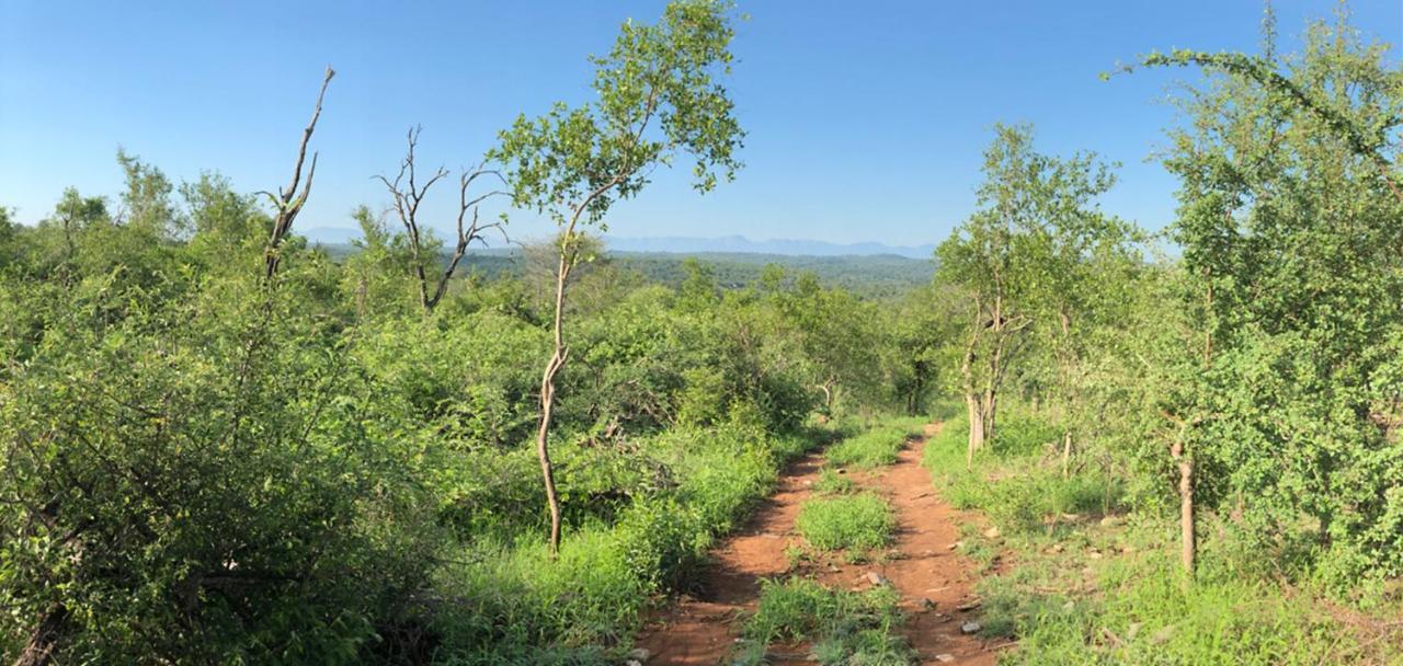 Lengau Lodge Grietjie Game Reserve Kültér fotó