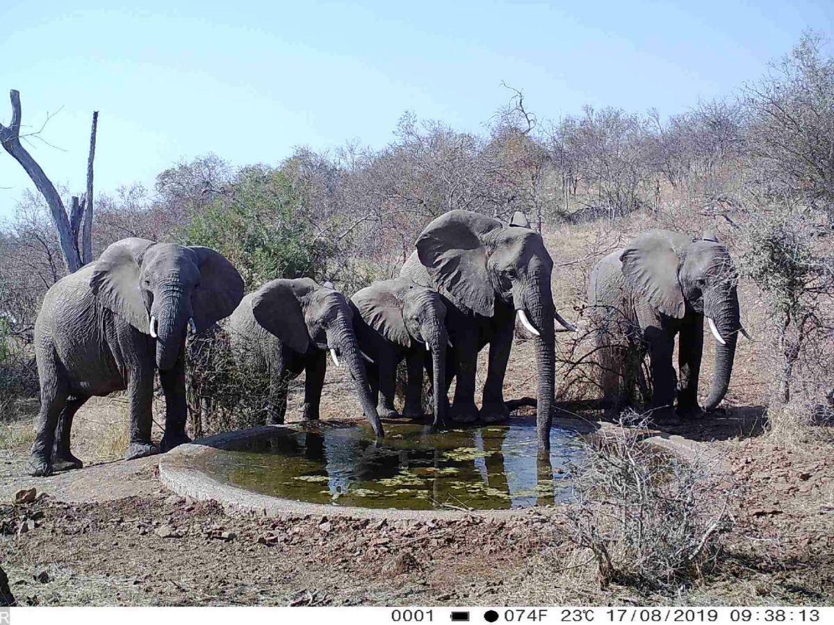 Lengau Lodge Grietjie Game Reserve Kültér fotó